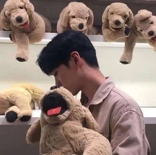 虎斑收录男生头像网红头像清新唯美可爱男头