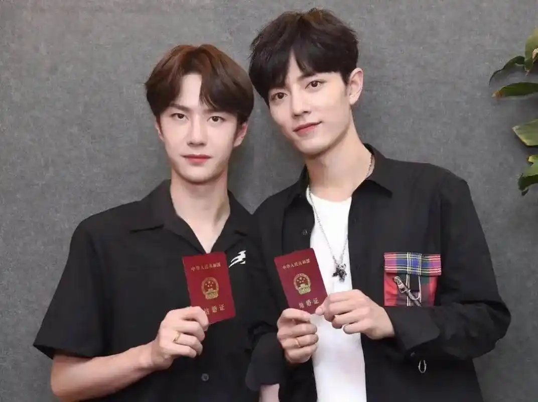 听说这首歌是用来官宣的,我没对象,就先借肖战王一博用一下～# - 抖音