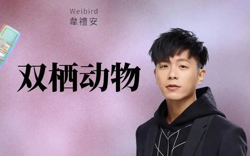 "双栖动物"|翻唱韦礼安翻唱的歌曲并做一个纯爱战士