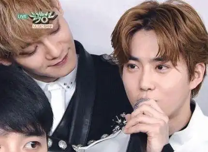 金钟大看金珉锡的眼神果然是金多情网友我妈都不会这么看我