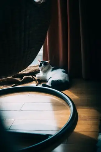 家里的每个角落都可以安静的待着