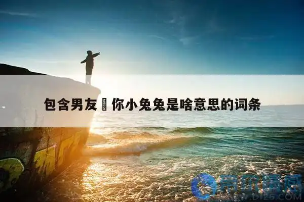 包含男友05你小兔兔是啥意思的词条-图1