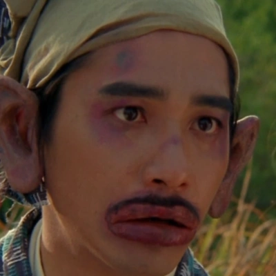 梁朝伟 东成西就