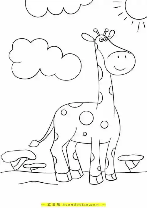 长颈鹿到底有多高14张高大漂亮的大个子长颈鹿卡通涂色简笔画