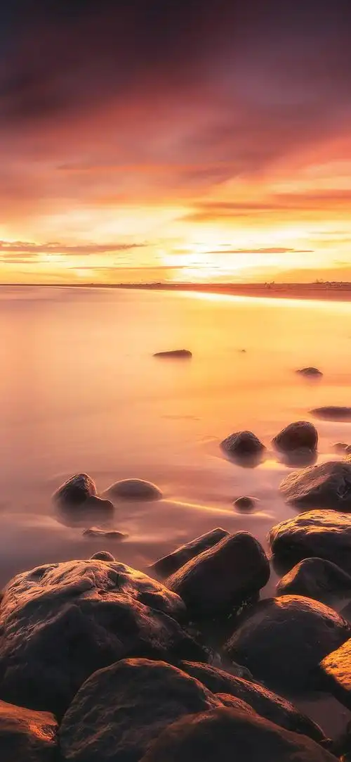 壁纸|高清手机壁纸_图片