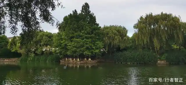 泗泾公园:上海唯一一座由镇政府进行管理的公园