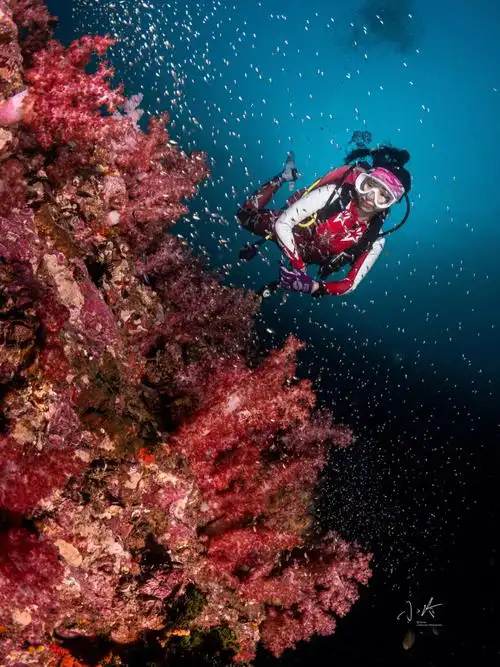 普吉岛水下专业摄影浅谈模特需要注意的事项