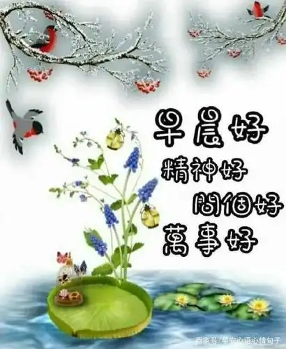 2021最新漂亮清晨早安问候图片动态带字,最美早上好问候语!