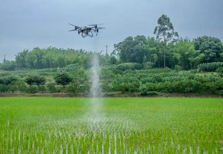 四川仁寿无人机喷打农药保丰收
