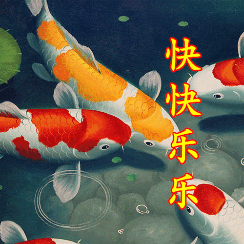 500_500gif 动态图 动图