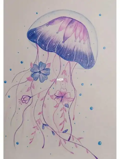 手绘临摹  水母