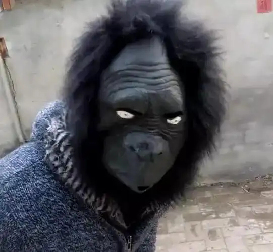 主人戴了个恶搞面具结果金毛就不认识了下一秒笑喷