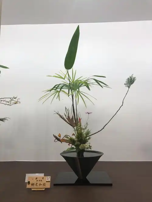 与花儿共舞——池坊·立花(九)