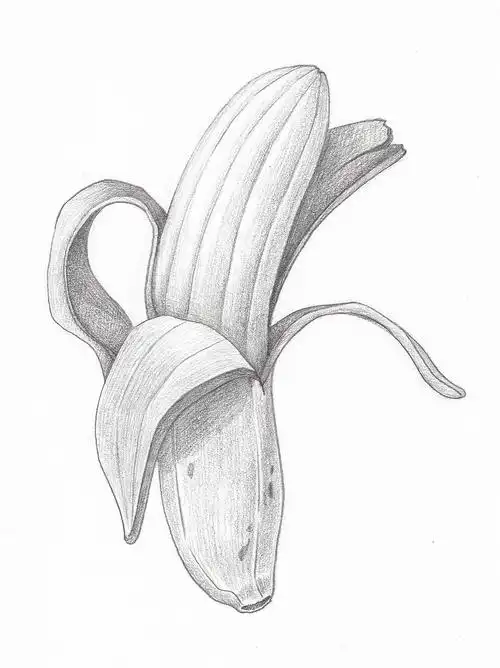 们~~都是超简单的小素描o(∩_∩)o天津/插画师/9年前/2426浏览榊雪兔