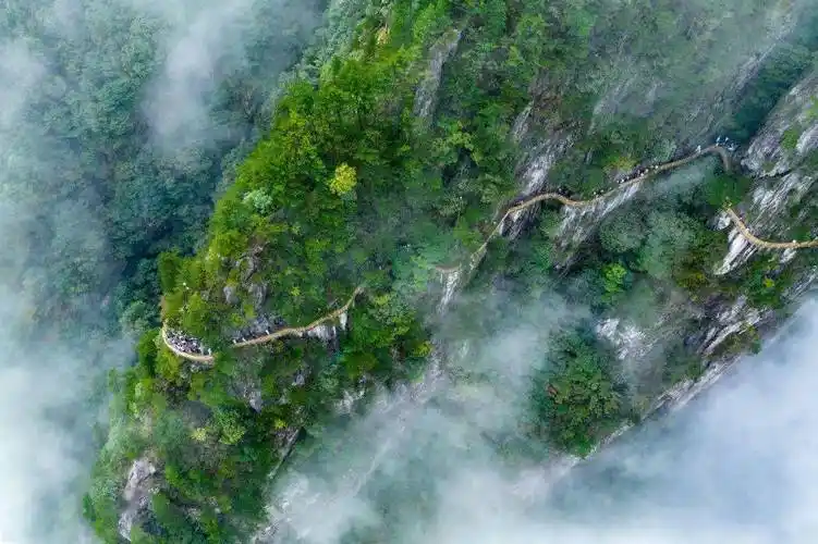 位置】明月山洪江镇南惹村交通乘车指南801路公交车温汤镇→洪江镇①