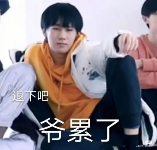 张真源的表情包