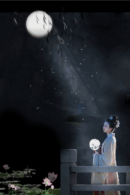 10款15s抖音文字短视频背景