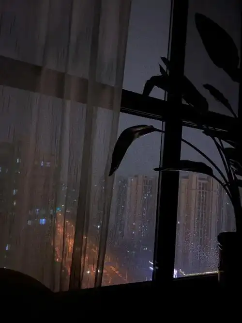 描写黑夜的孤独的句子