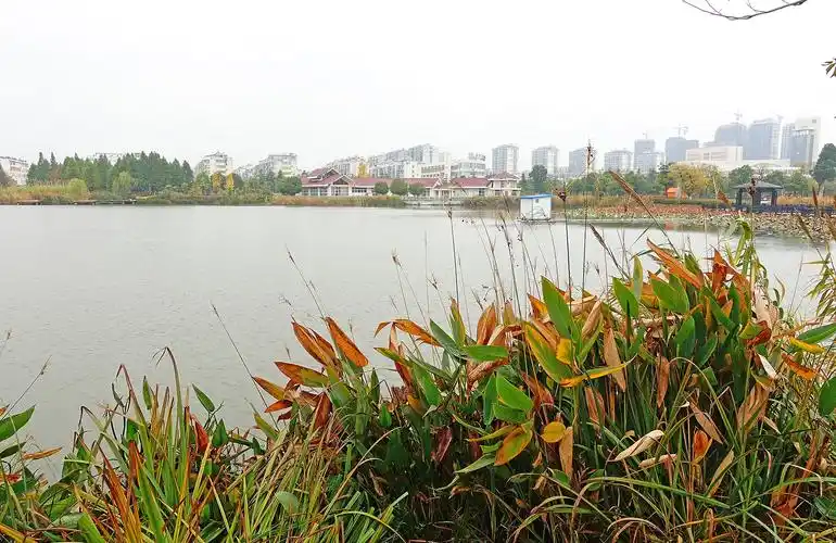 p>白天鹅公园在 a target="_blank" href="/item/阜宁/871643" data