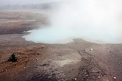 黄石国家公园,诺里斯博物馆,烟雾,蒸汽,树木,树林,地热现象,世界自然