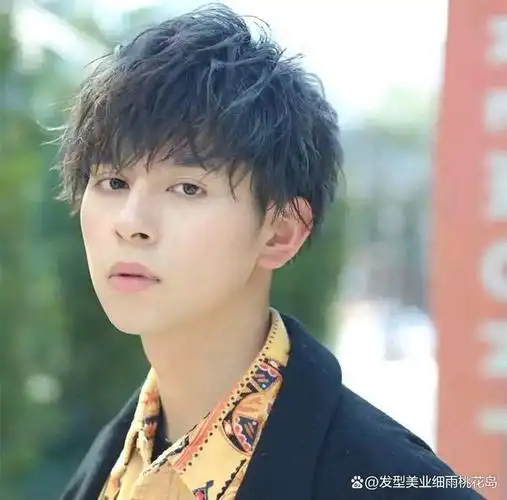 男士头发硬适合留什么发型?