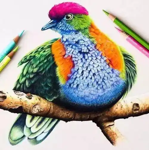 画得如此生动写实的动物彩铅画你喜欢吗