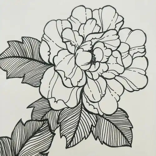 花开富贵情满中秋