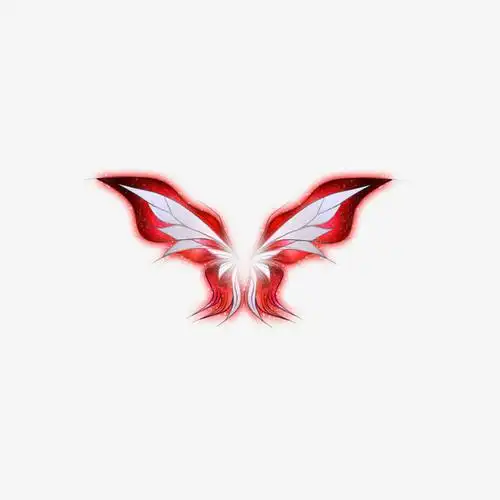 翅膀 霸气 羽毛 好看