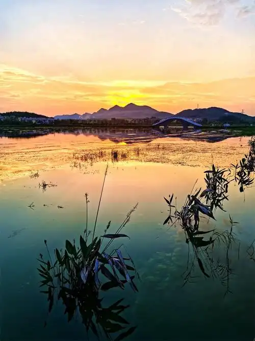 分宜晚霞映照湿地美