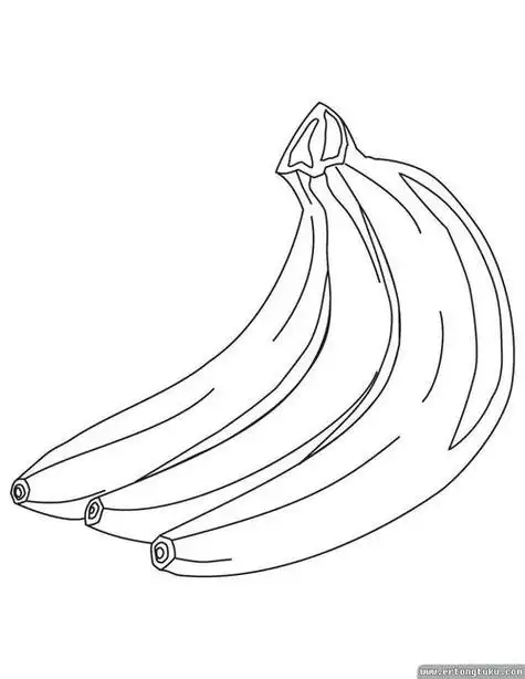 香蕉画法简笔画图片 香蕉画法简笔画图片大全大图