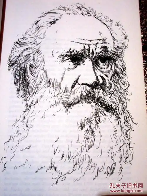 屠格涅夫简笔画