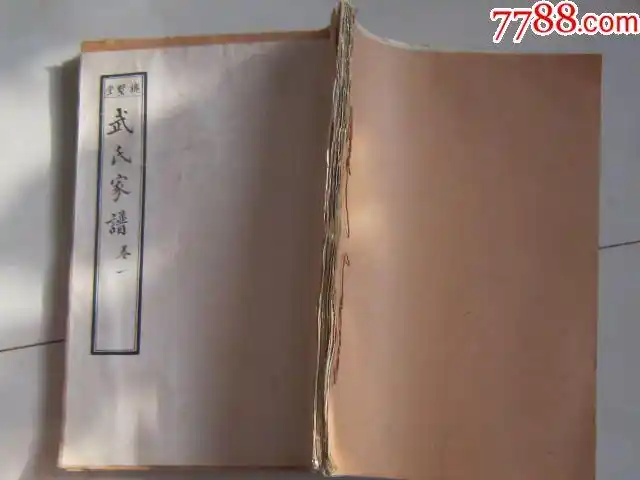 家谱:武氏家谱()大本