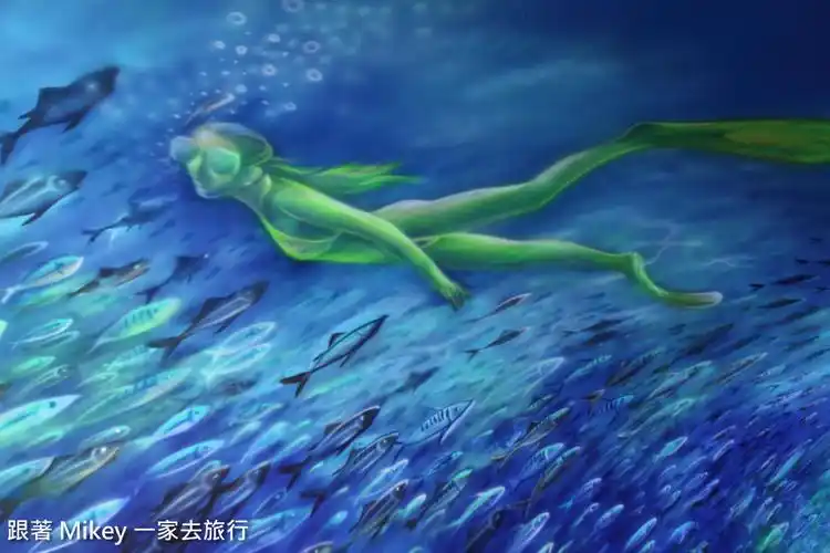 女潜水员宛如像条美人鱼般, 优雅地漫游海底世界