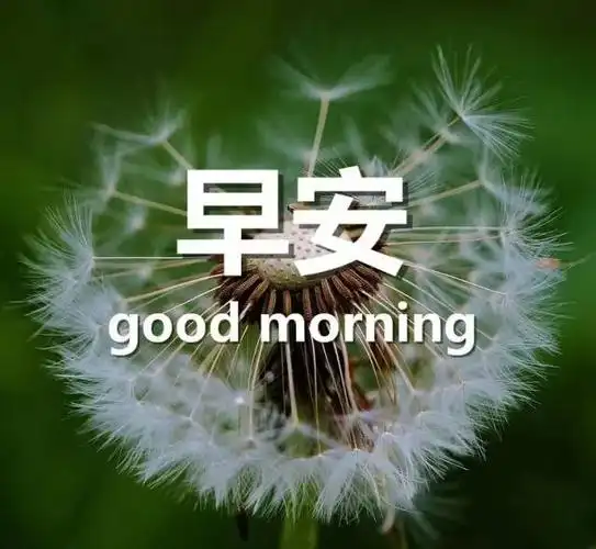 早安的句子早安的图片