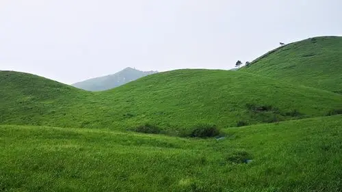 武功山之高山草甸