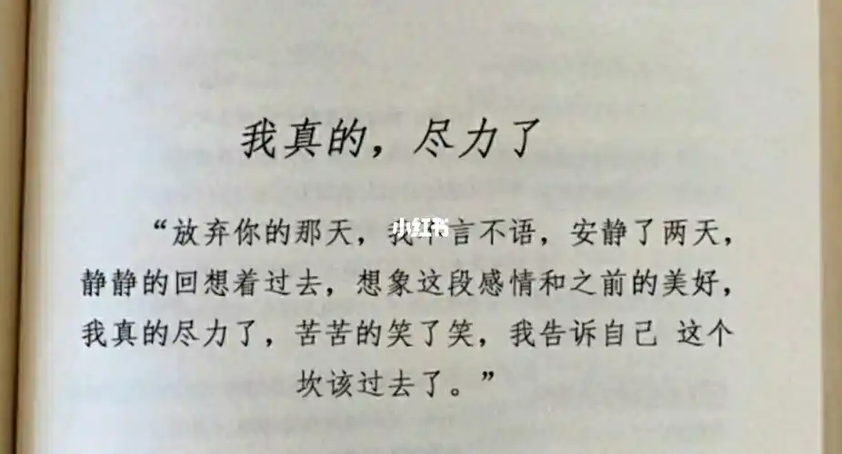 那就这样吧
