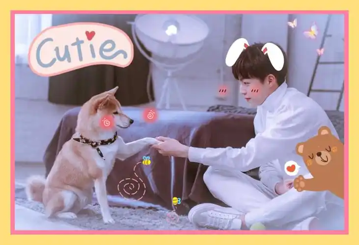 陈立农 原图来自微博@壁纸控ins