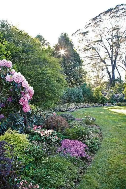 国外庭院花园设计实景图(花园设计前沿趋势)(17)