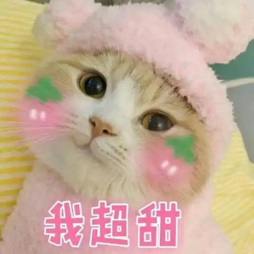 萌猫有趣表情包,我带着可爱和萌萌哒,日常打卡来了!