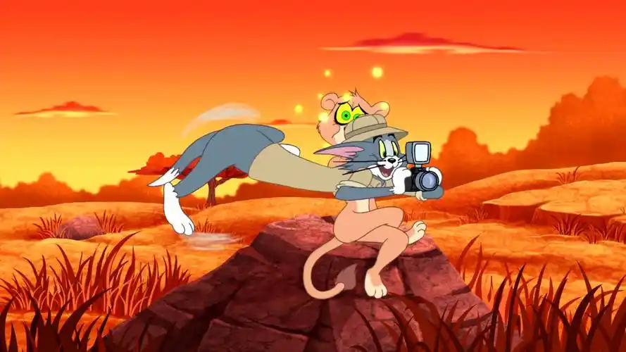 猫和老鼠:猎人汤姆无意发现豹子,反倒调戏起来,结果被狮子发现-动漫视