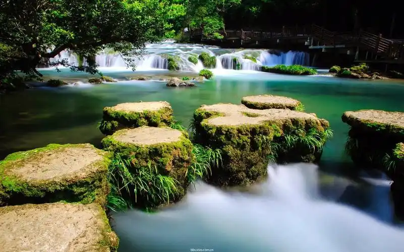 2020年下半年旅行时间表,在最美的时间游最美的风景