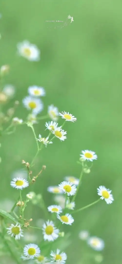 690_1493竖版 竖屏