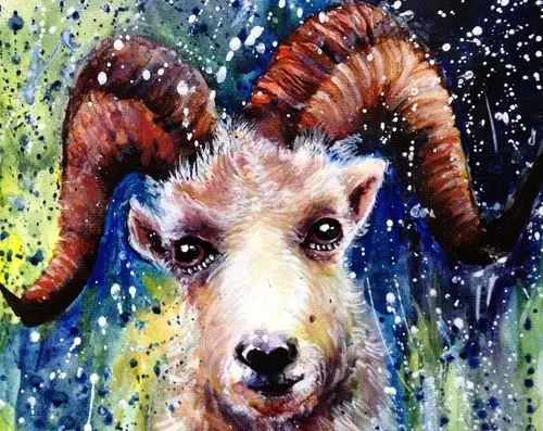 泼洒系列——《盘羊》(羊年)