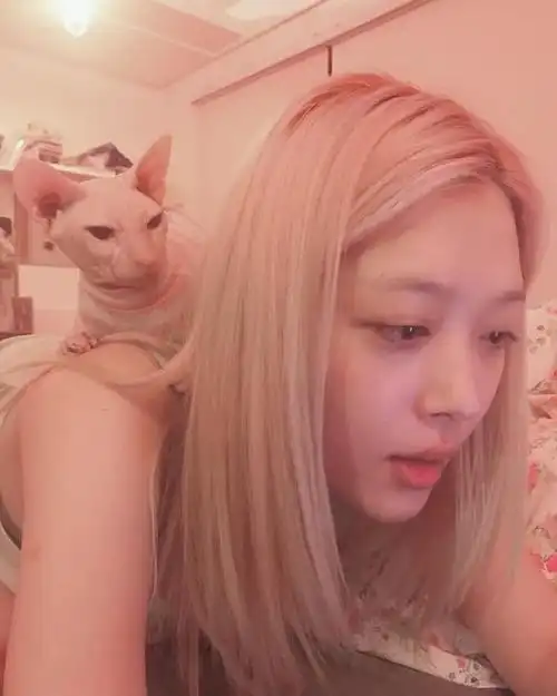 1月7日 8:54   关注  崔雪莉 韩国明星 手机壁纸 ins潮图