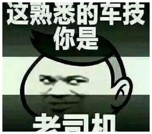 "司机"意思是开车的人,"老"意思是熟练,老司机,熟练驾驶车辆的人.