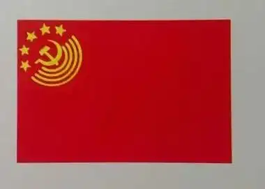 百年中国国旗史从黄龙旗到青天白日五星红旗