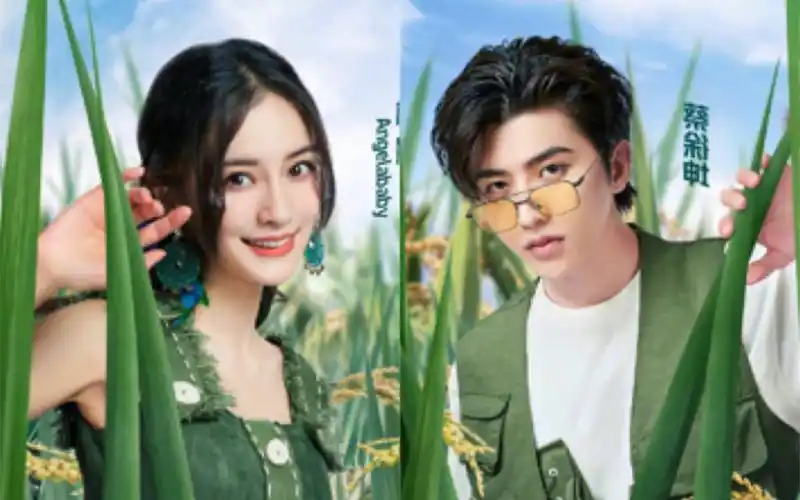 《 爱 情 保 卫 战 》|蔡徐坤x angelababy