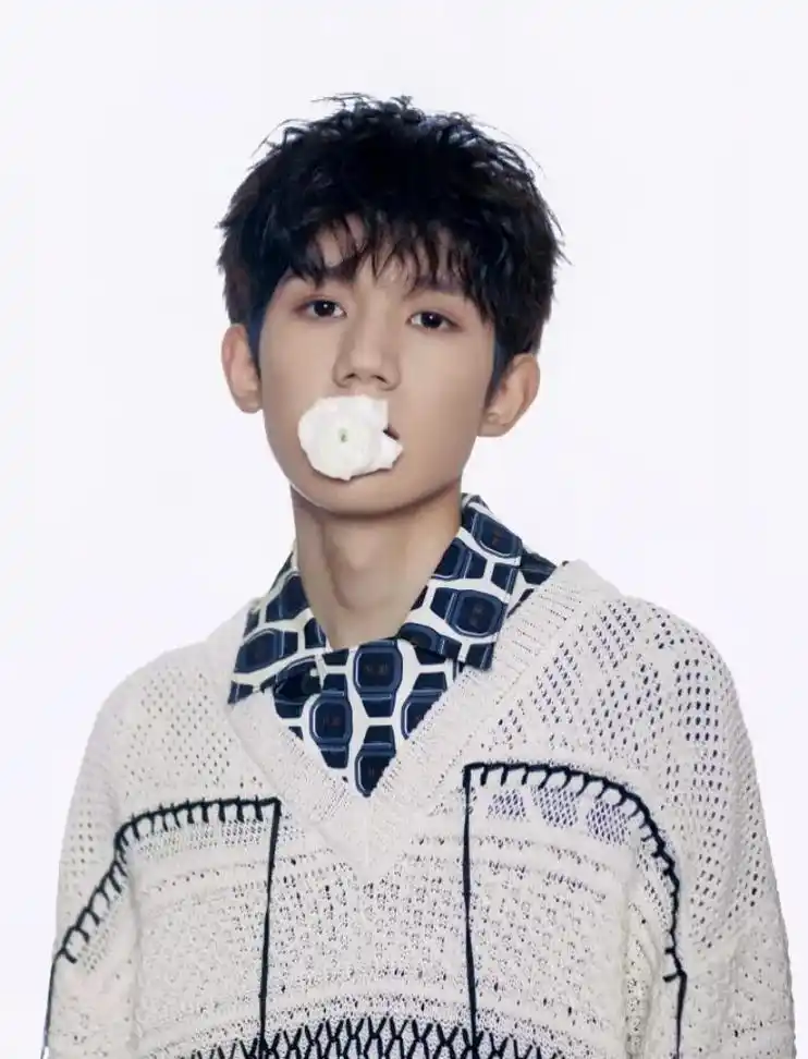 王源 但愿一眼望过去的人会让你心动95@tfboys-王源 - 抖音