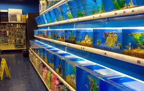 欧式二居室书房装修效果图