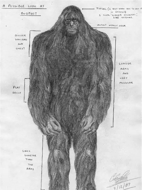 老汉深山采药遇野人浑身红毛似人非人野人莫非真的存在